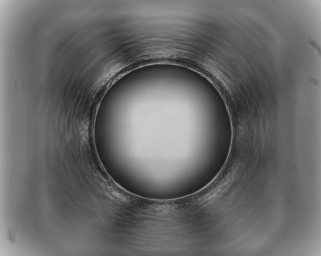 X0000091170778200708161458