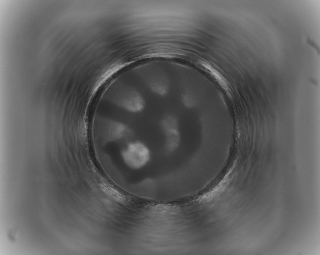 X0000091170779200708161458