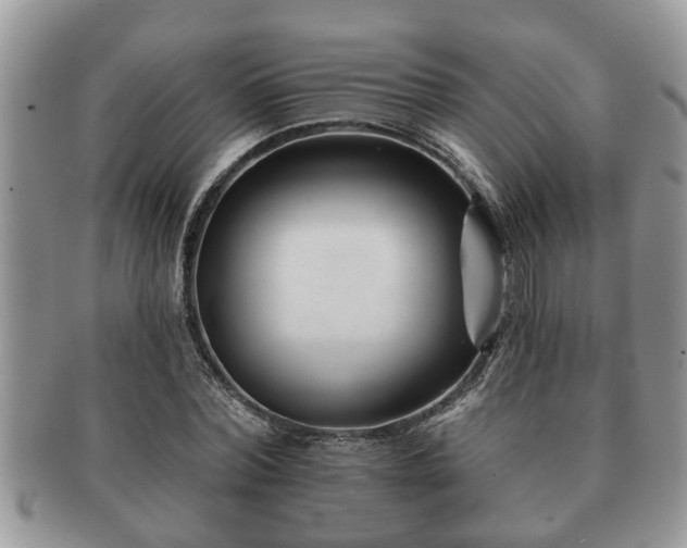 X0000091170780200708161458