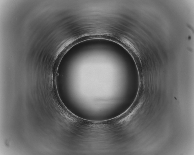 X0000091170781200708161458