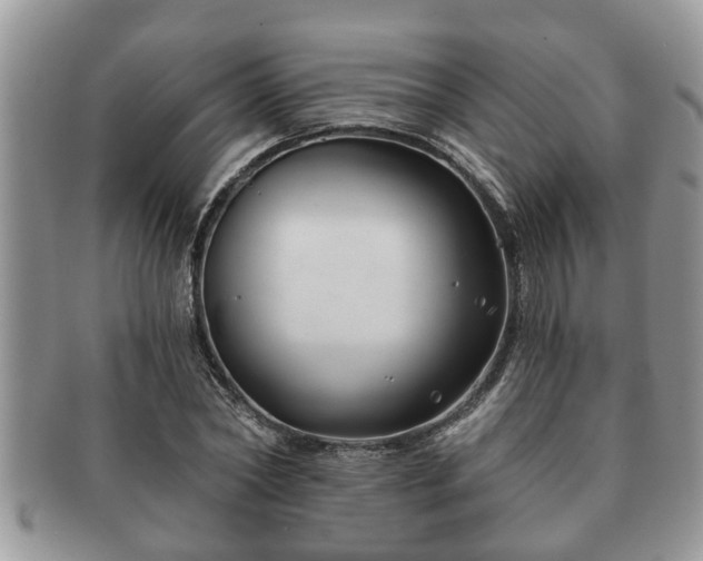 X0000091170782200708161458