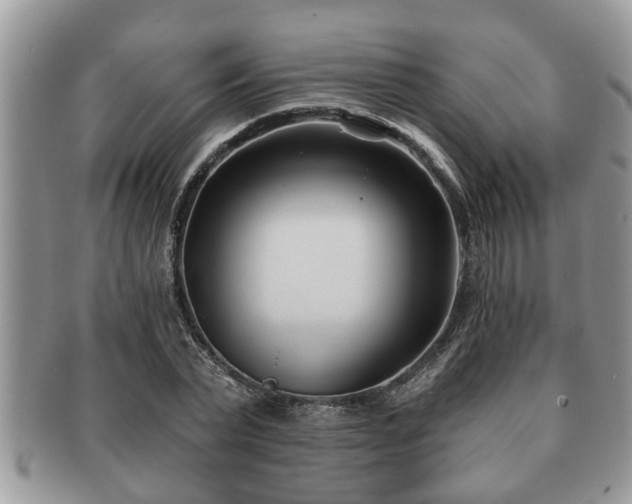 X0000091170783200708161458