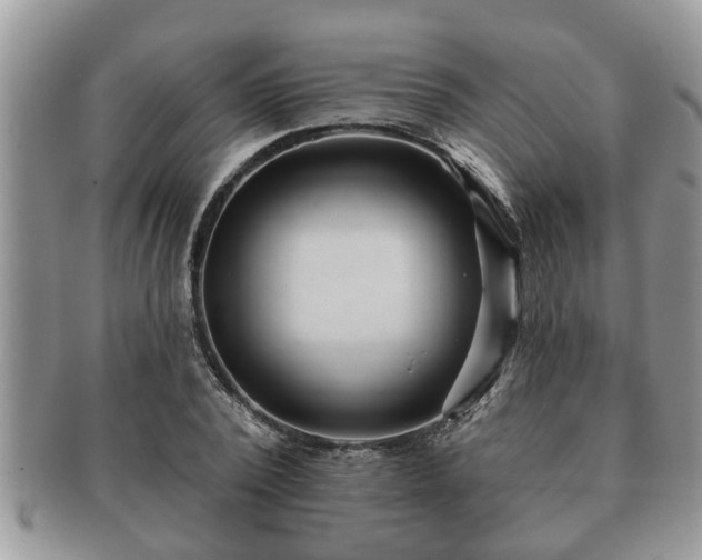 X0000091170784200708161458