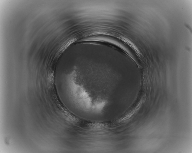 X0000091170785200708161458