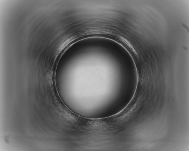 X0000091170786200708161458