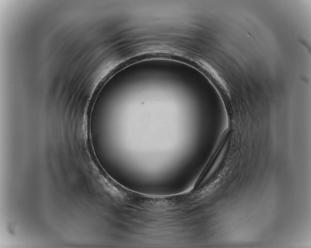 X0000091170791200708161458