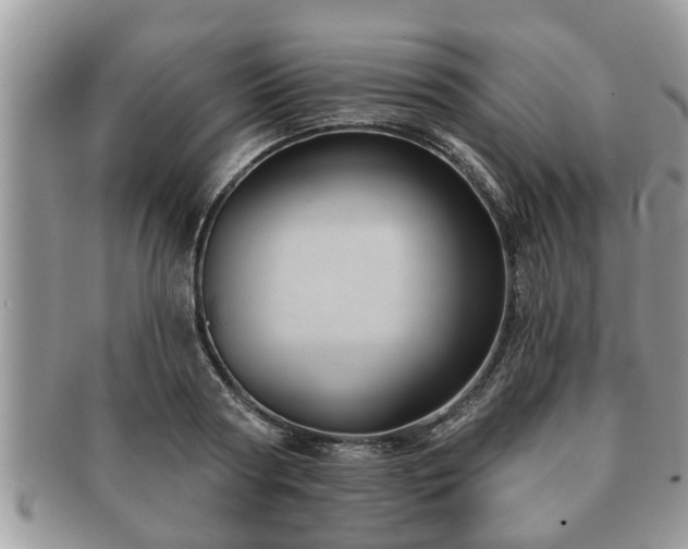 X0000091170794200708161458