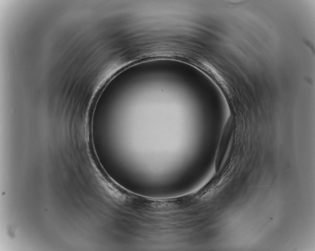 X0000091170795200708161458