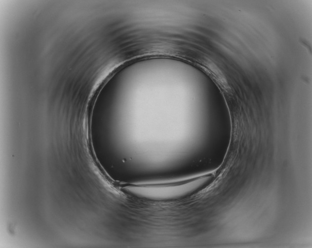 X0000091170796200708161458