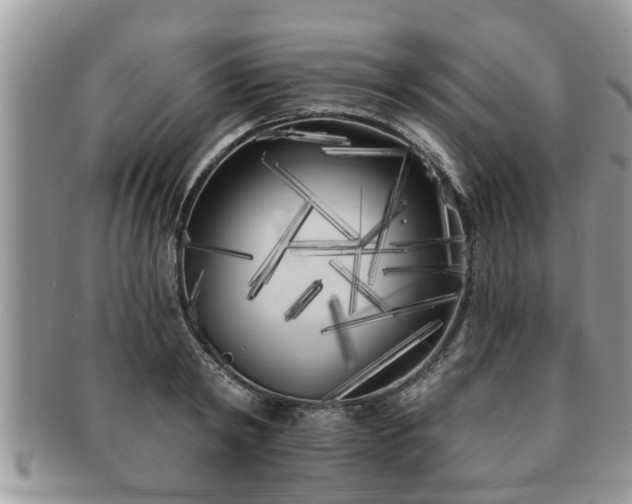 X0000091170798200708161458