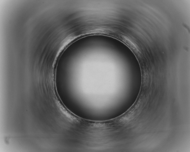 X0000091170800200708161458