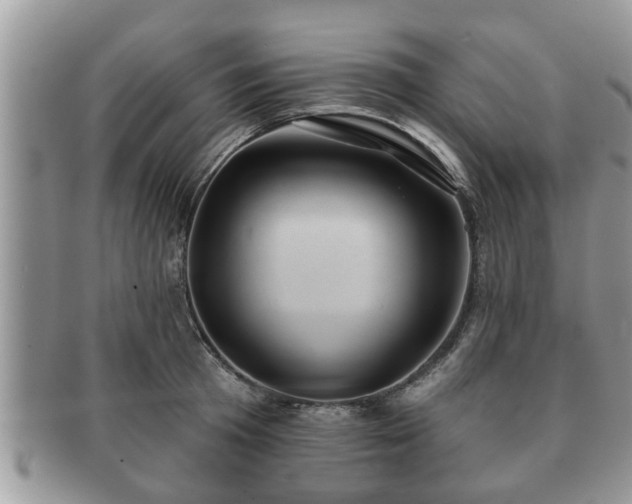 X0000091170801200708161458