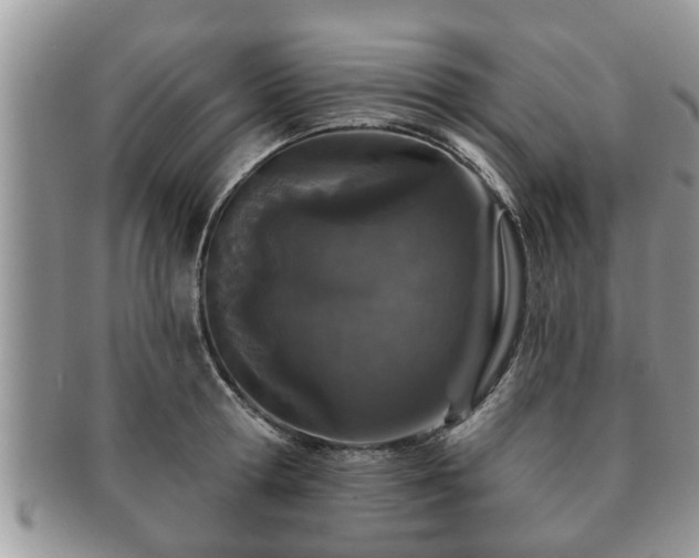 X0000091170802200708161458