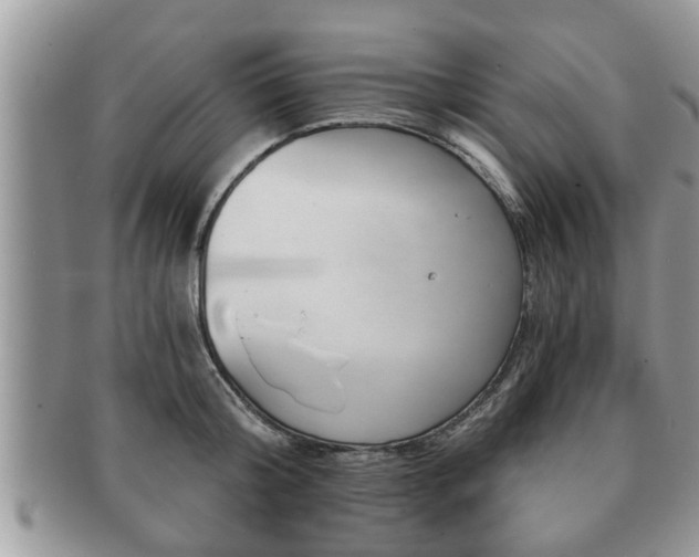 X0000091170804200708161458