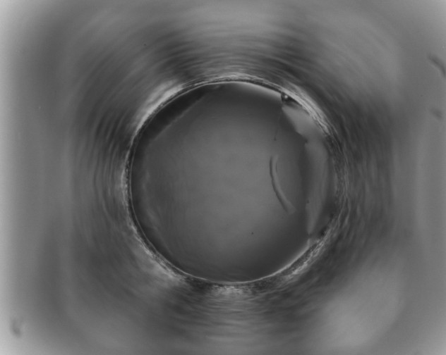 X0000091170806200708161458