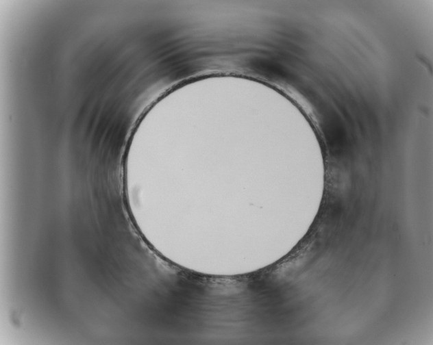 X0000091170807200708161458