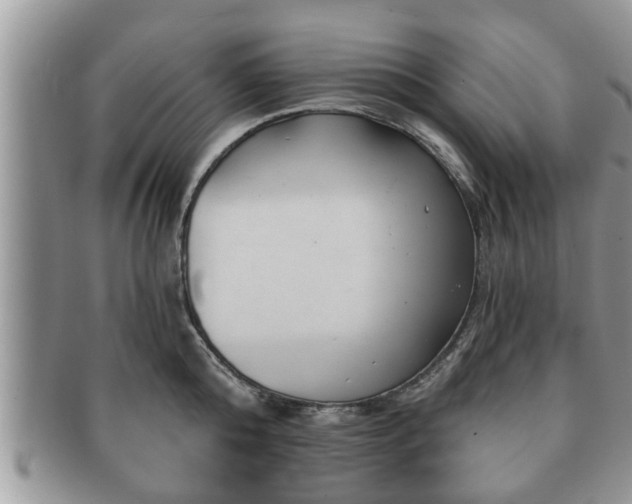 X0000091170808200708161458