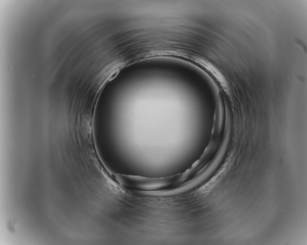 X0000091170809200708161458