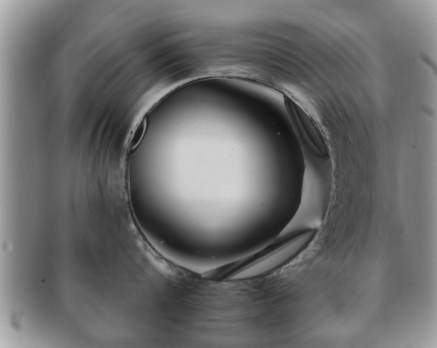 X0000091170816200708161457