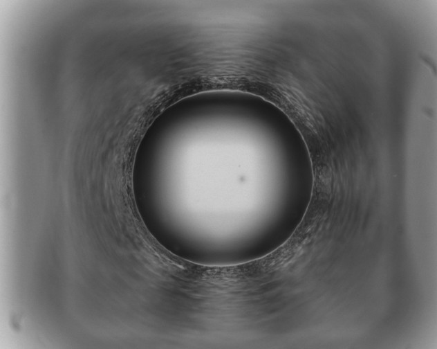 X0000091170817200708161457