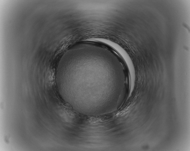 X0000091170818200708161457