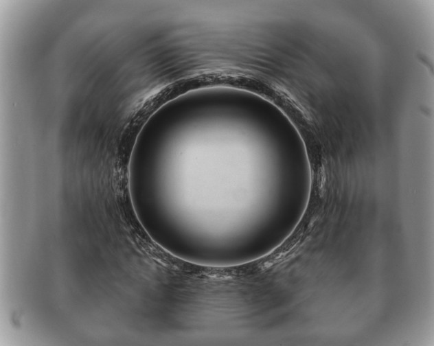 X0000091170822200708161457