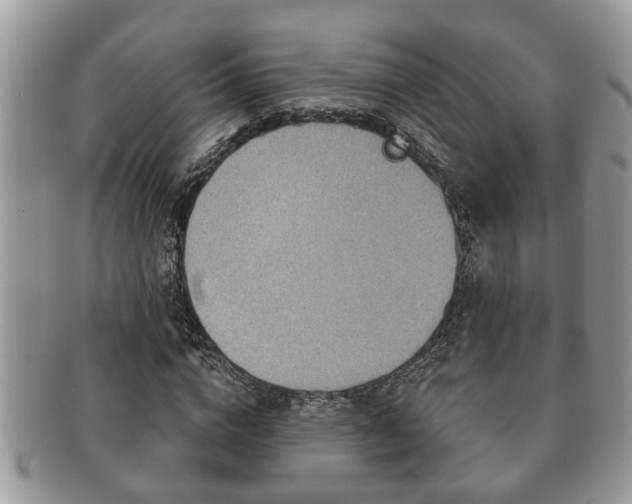 X0000091170824200708161457