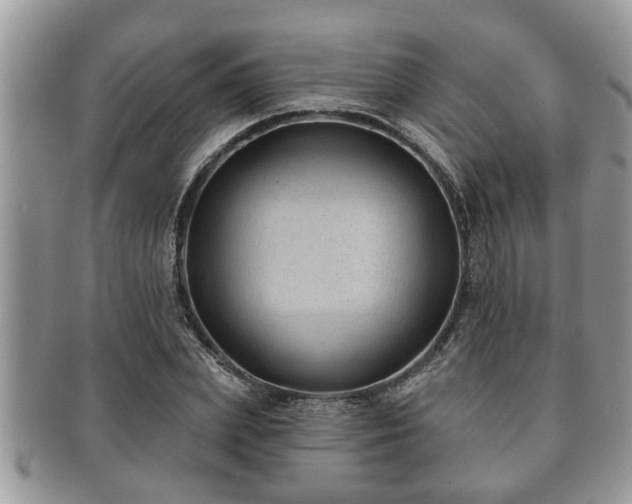 X0000091170831200708161457