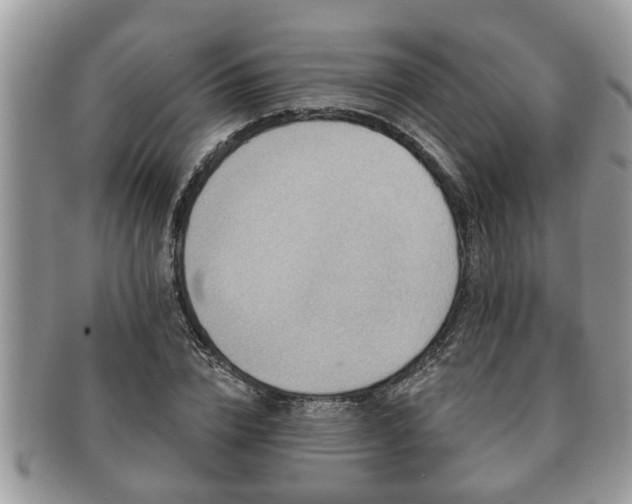 X0000091170832200708161457