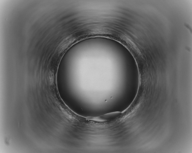 X0000091170833200708161457