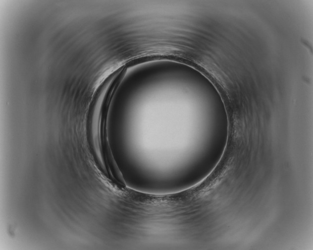 X0000091170834200708161457