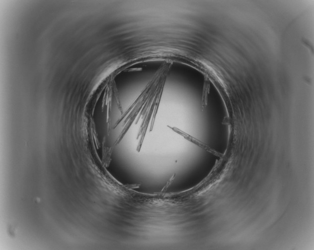 X0000091170835200708161457
