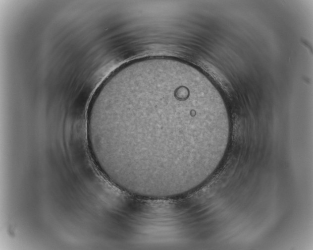 X0000091170836200708161457