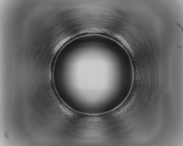 X0000091170837200708161457