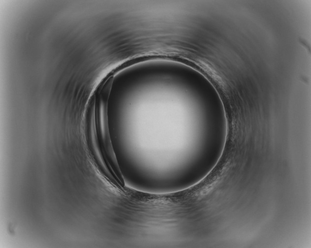 X0000091170838200708161457