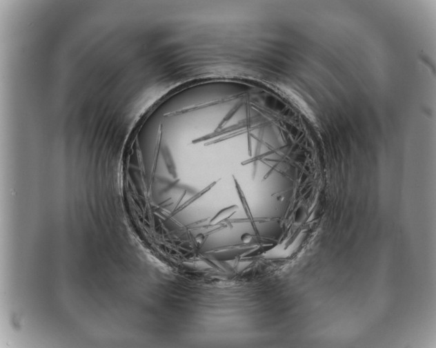 X0000091170839200708161457