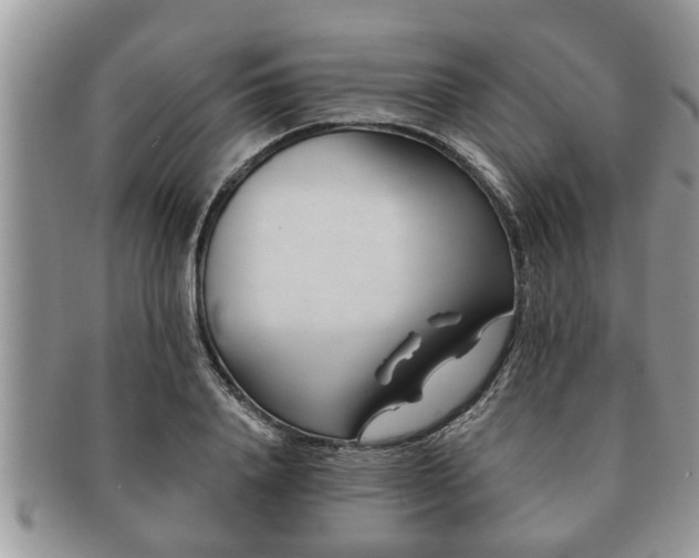 X0000091170840200708161457