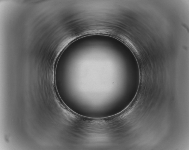 X0000091170844200708161457