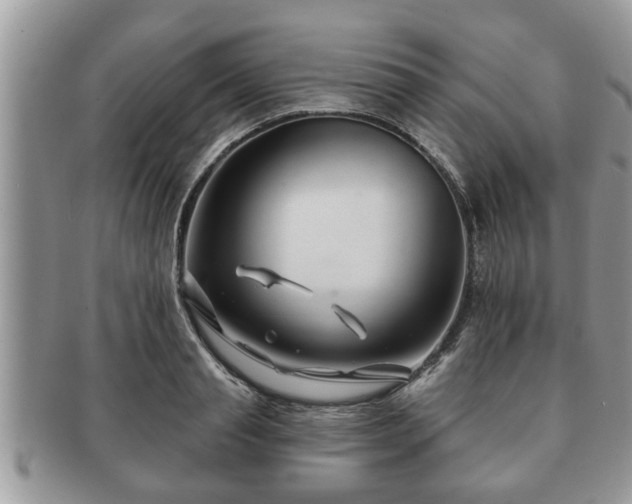 X0000091170845200708161457