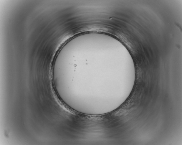 X0000091170848200708161457