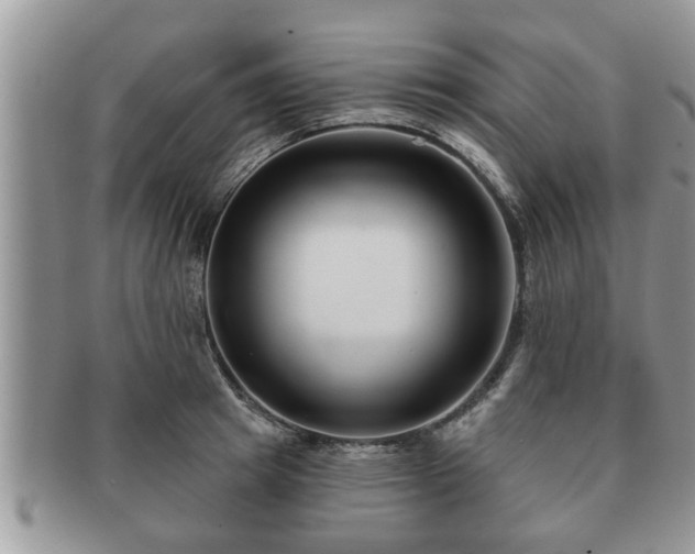 X0000091170849200708161457