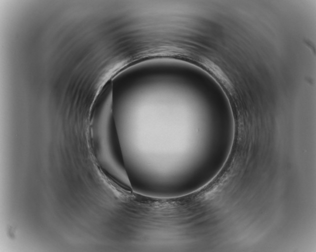 X0000091170850200708161457