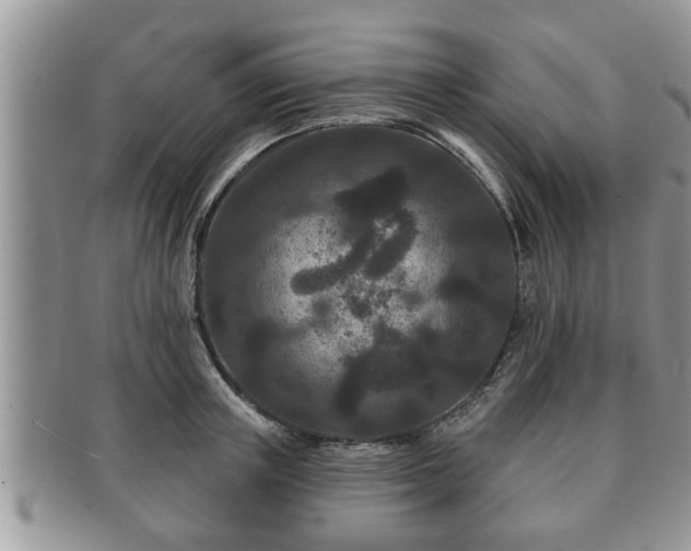 X0000091170851200708161457