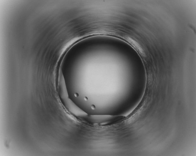 X0000091170854200708161457