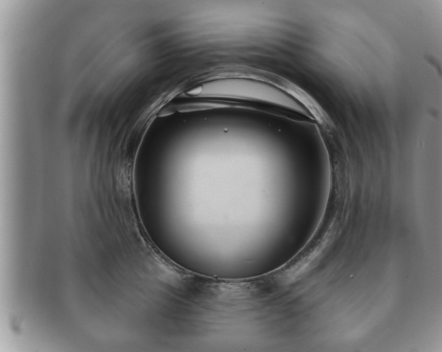 X0000091170857200708161457