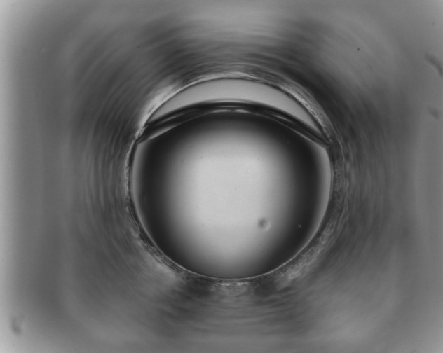 X0000091170858200708161457