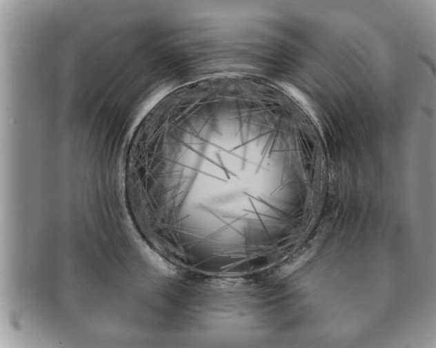 X0000091170859200708161457