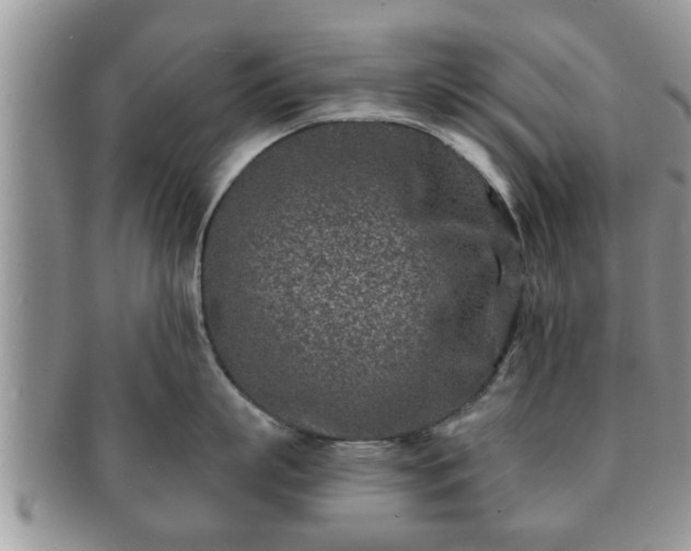 X0000091170863200708161457