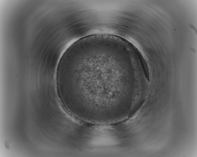 X0000091170864200708161457