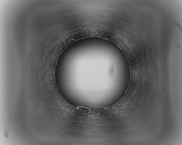 X0000091170865200708161457